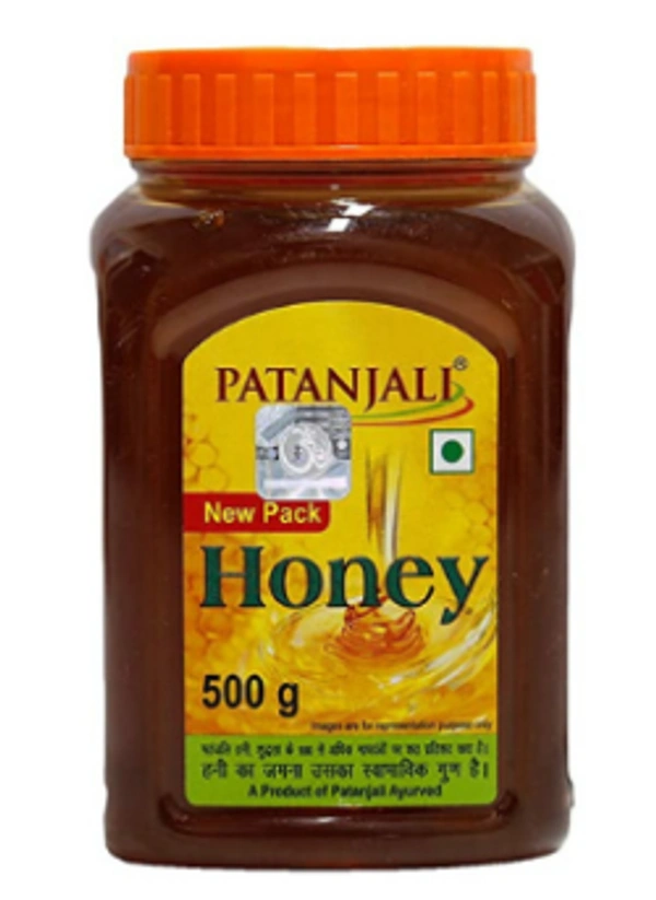 PATANJALI HONEY - 500 GM
